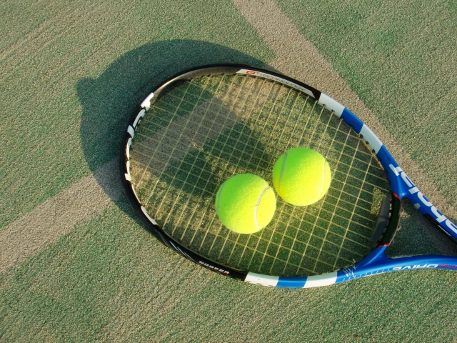 パラスポーツでも使われる、テニスコートにおいてあるテニスの道具。